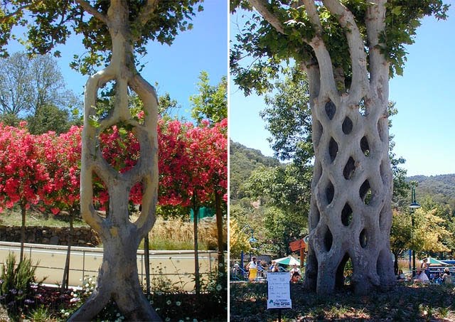 [plant-creations36.jpg]