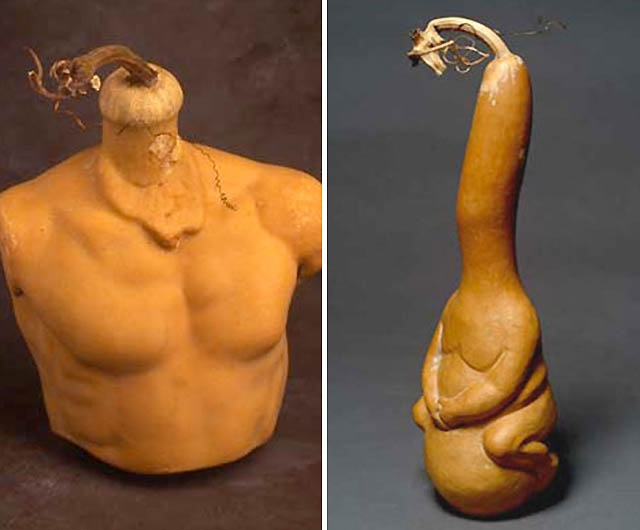 [plant-creations48.jpg]