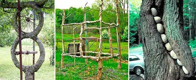 [plant-creations47.jpg]