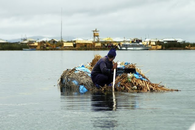 [plant-creations22.jpg]