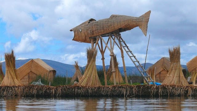 [plant-creations19.jpg]