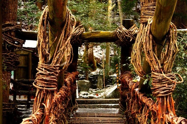 [plant-creations14.jpg]