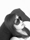 Mi foto