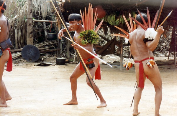 educação indigena