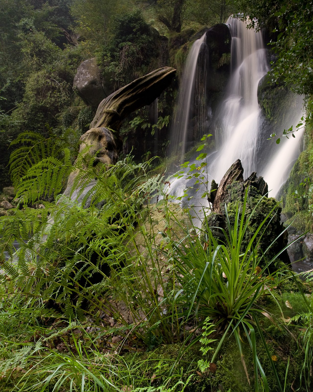 [IMG_7679-Edit1.jpg]