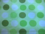 [Green+circle.JPG]