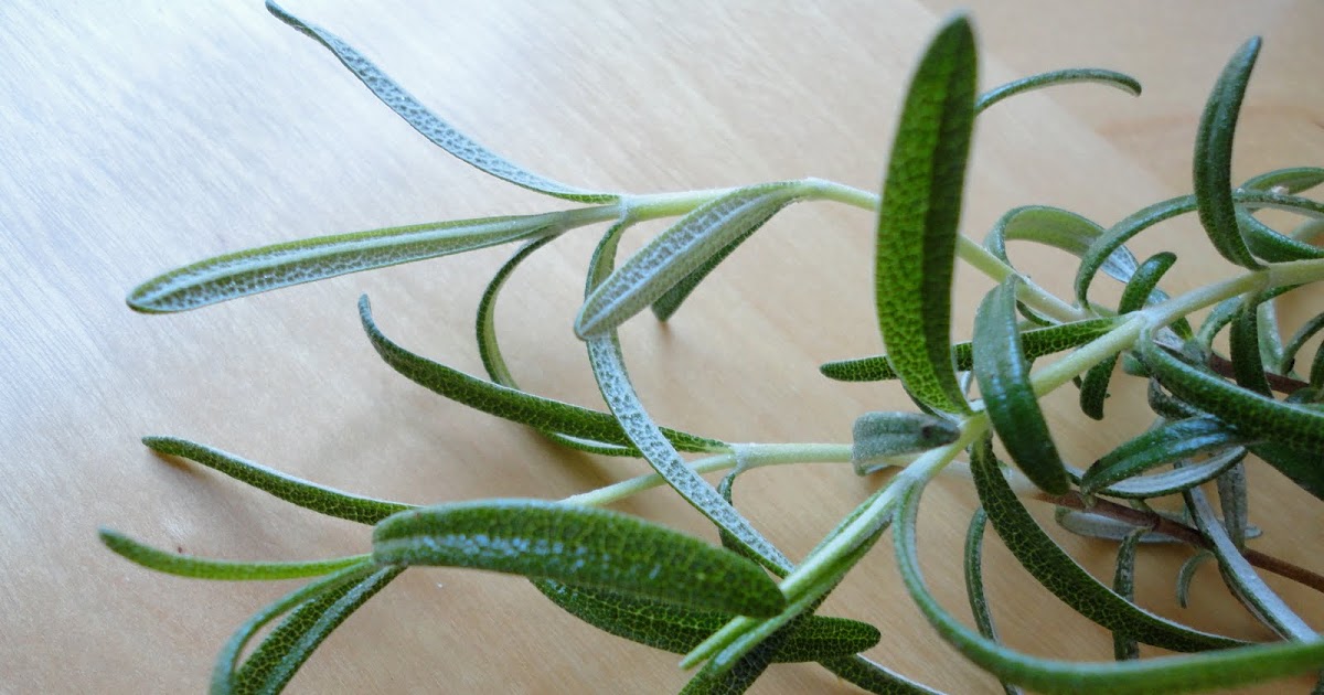 Sage Sprout Freezing Rosemary