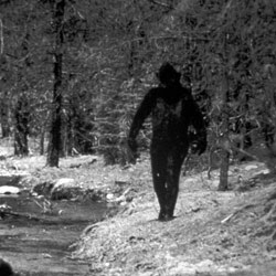 Si Kaki Raksasa - Bigfoot Si Kaki Raksasa - Bigfoot