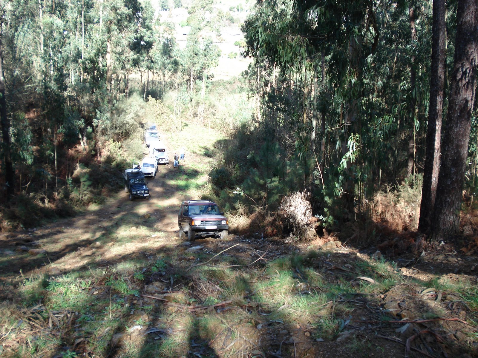 [DSC01829.JPG]