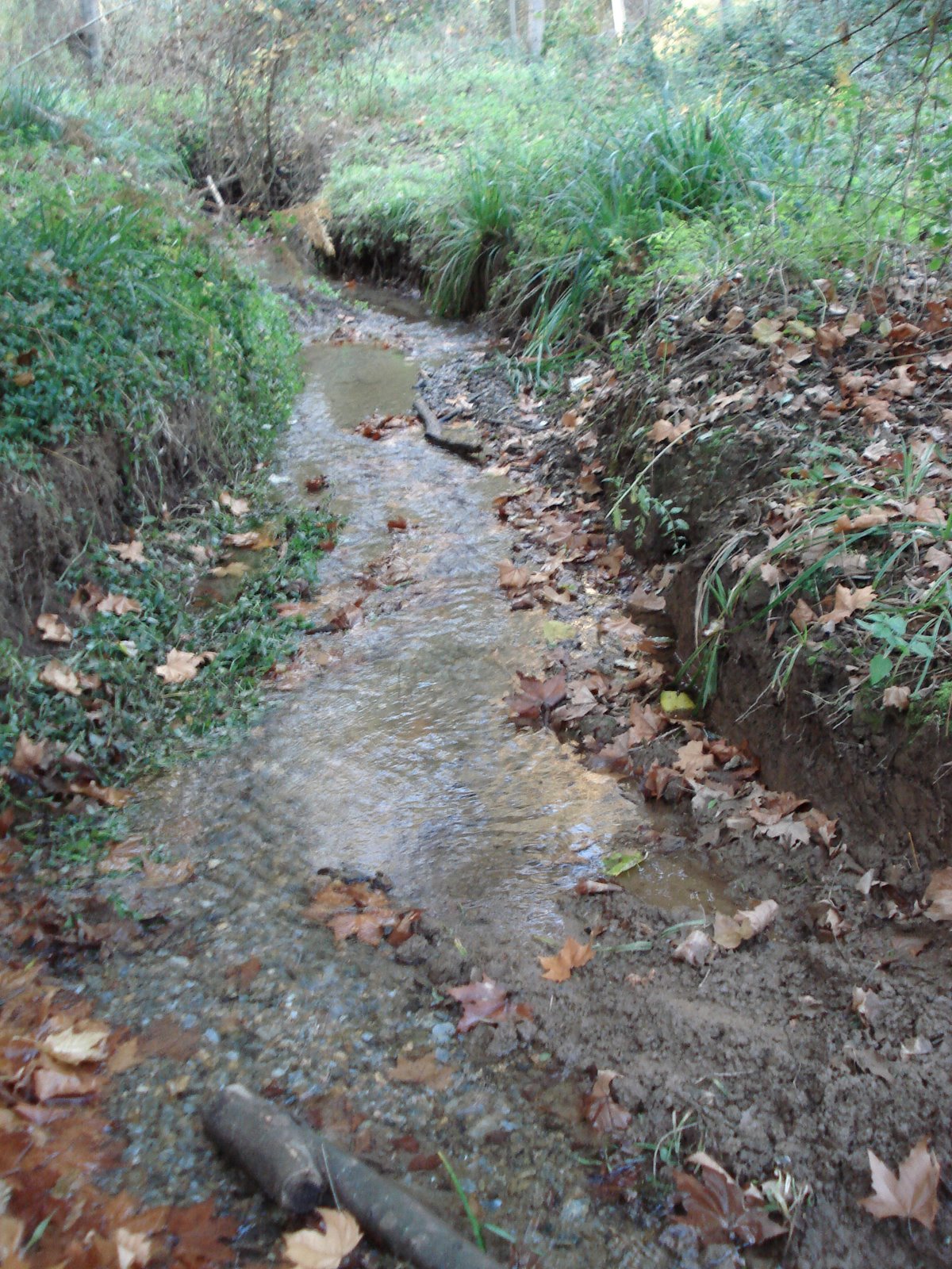 [DSC08233.JPG]
