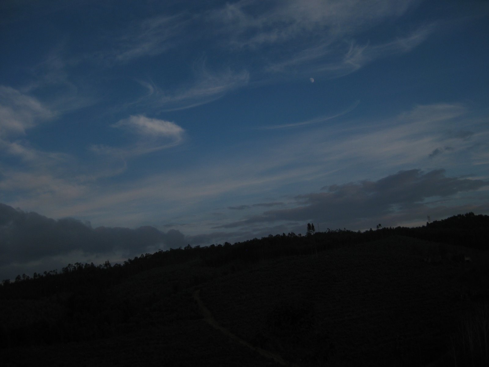 [IMG_0698.JPG]