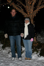 Christmas Village 2009