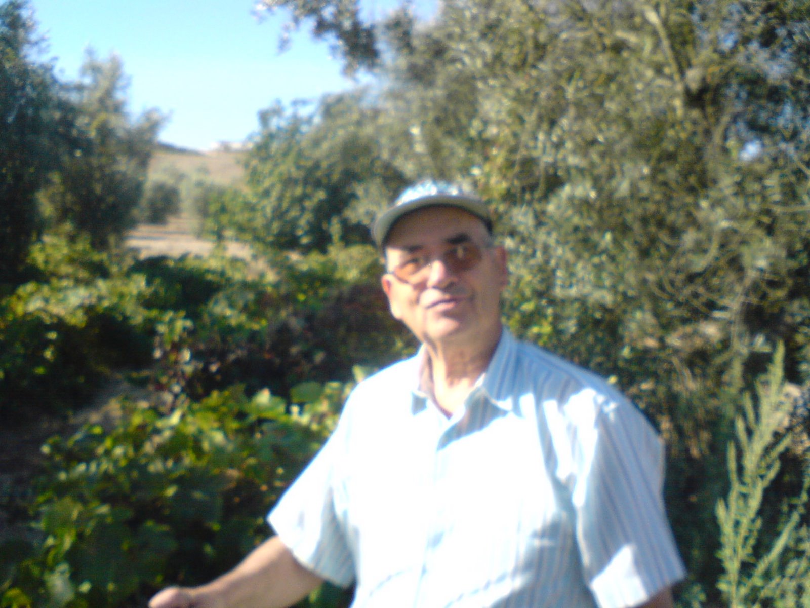[DSC00017.JPG]