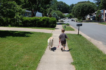 He Walks Alone