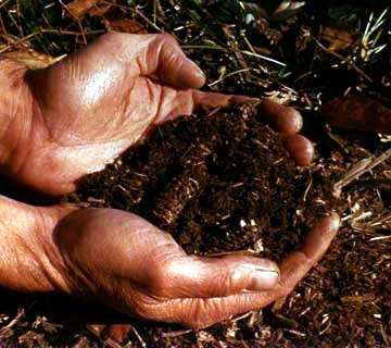 [OrganicGardeningSoil.jpg]
