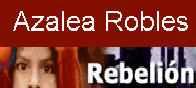 A.Robles en rebelion.org