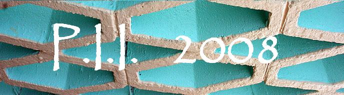 PII 2008