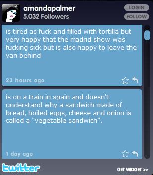 [amanda+palmer1.JPG]