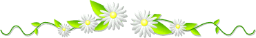 [barra2.gif]