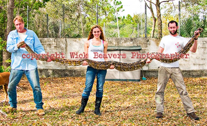 [13 foot copyright Burmese Python post Capture Saturday Wick Beavers Photographer copy.jpg]
