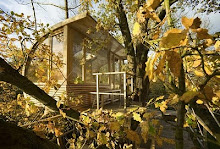 VIVIR EN LOS ARBOLES