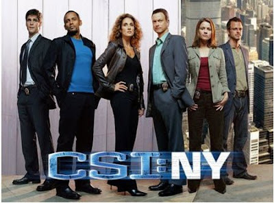 CSI New York Season 4