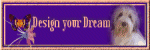Design Your Dream
