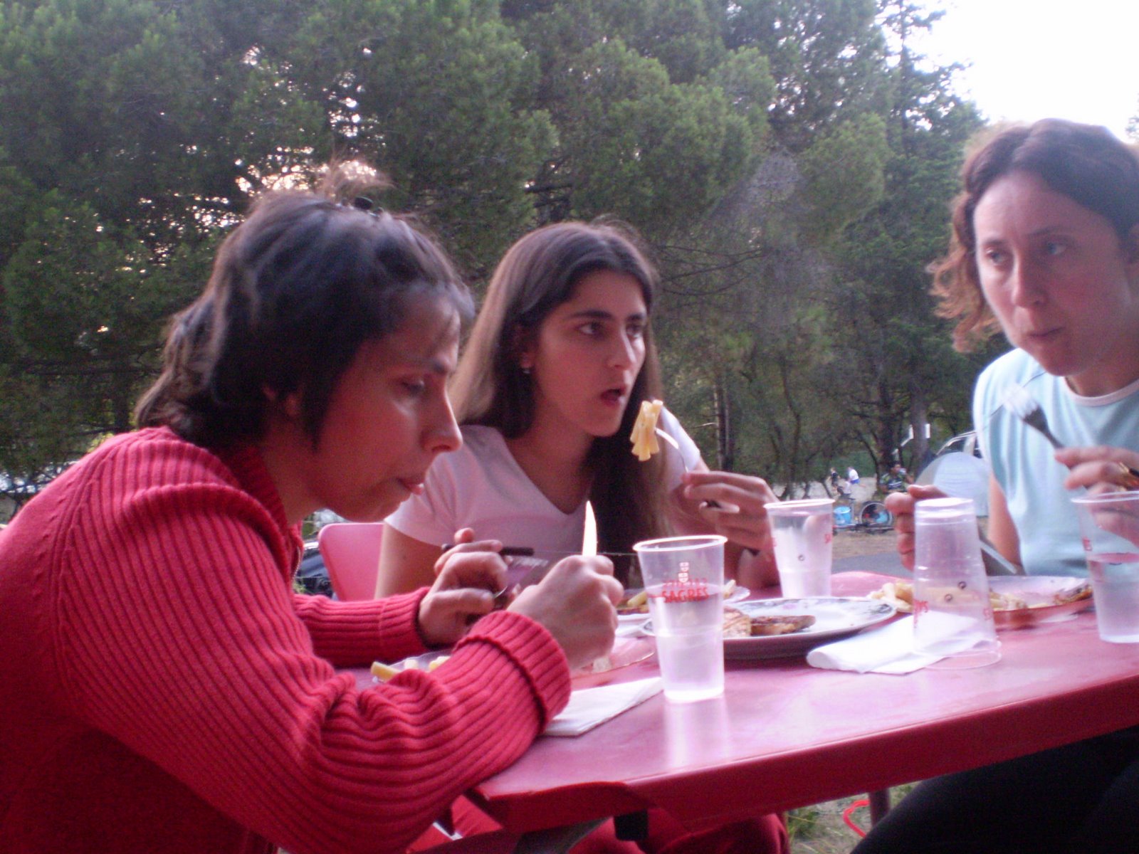 [P6140133.JPG]