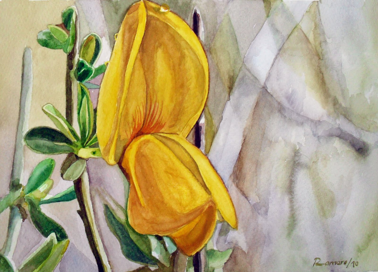 Paola Romero: Retama