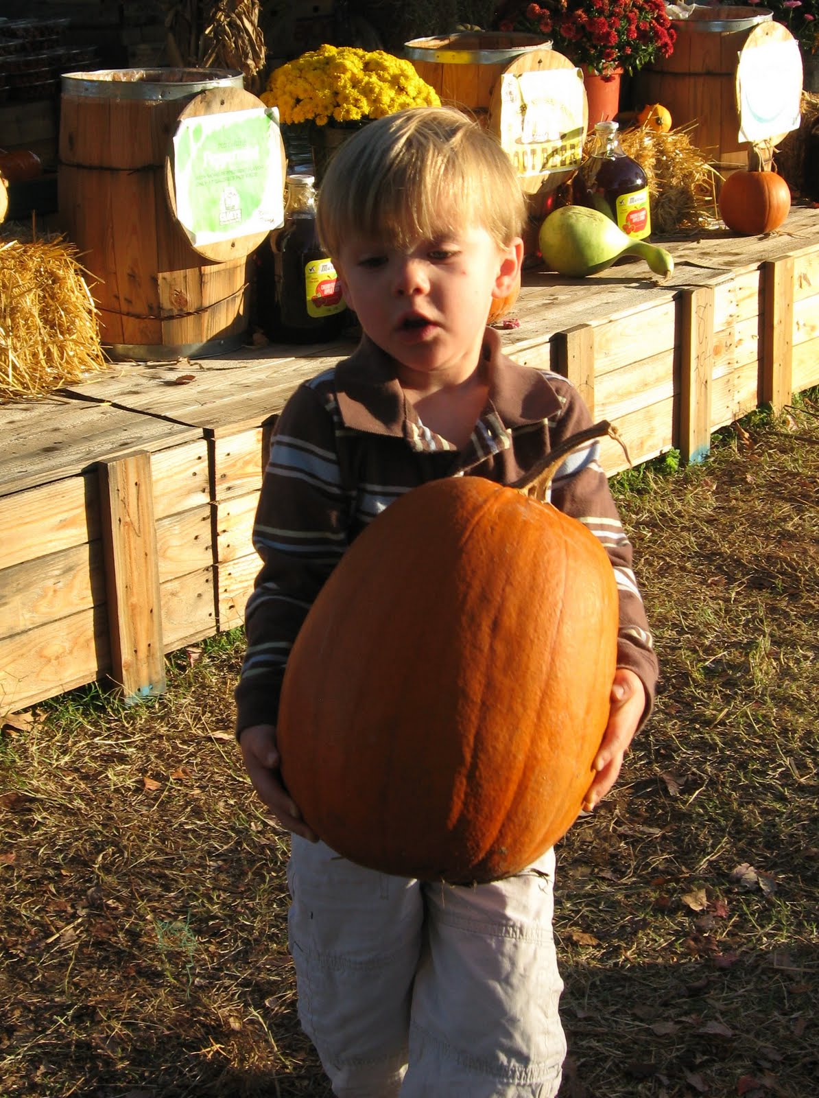 [IMG_3706.JPG]