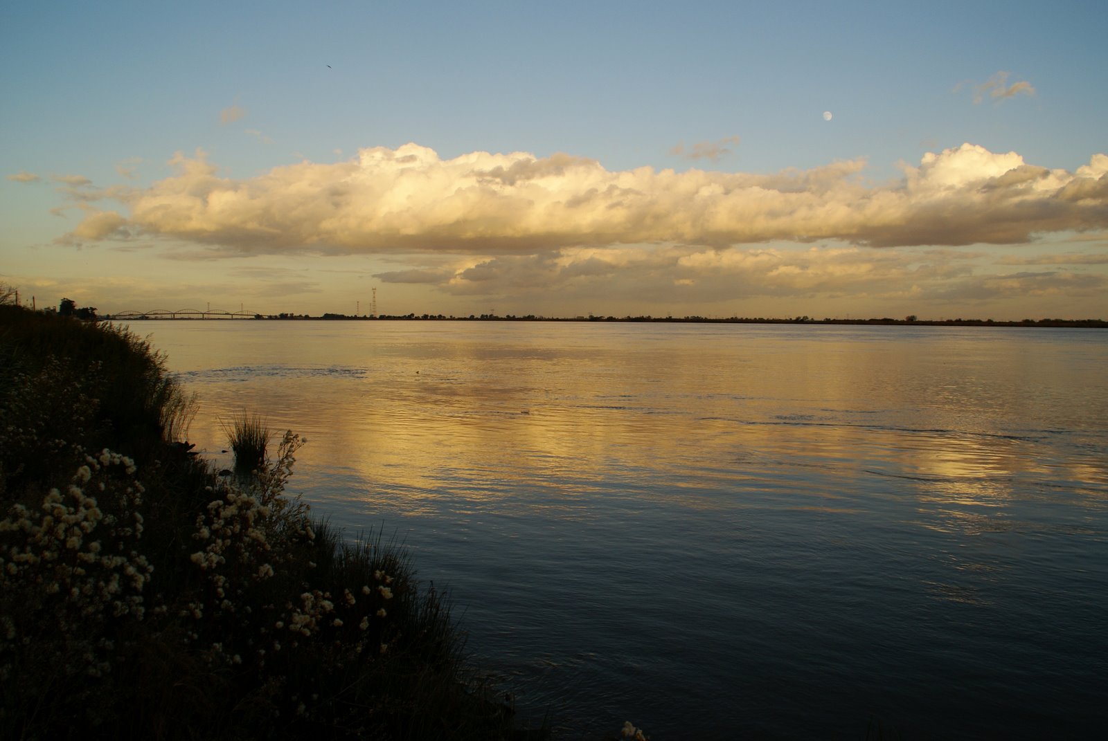 [116DSC02113a.JPG]