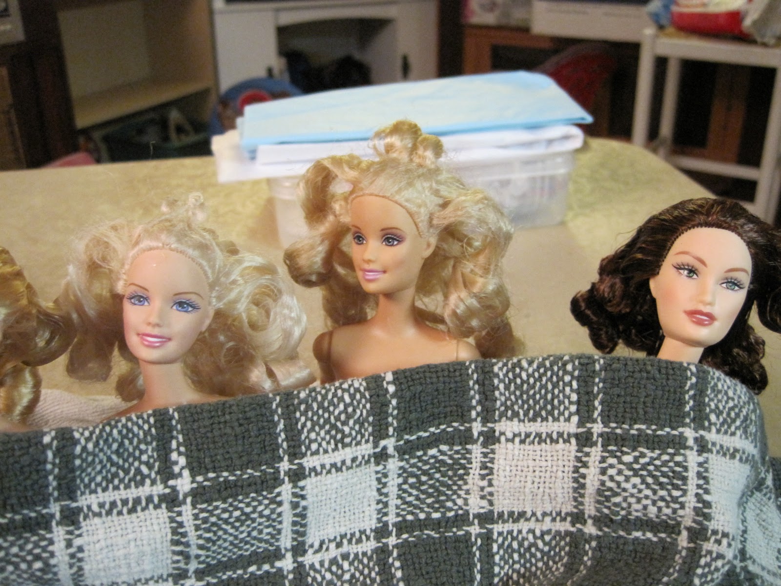 Never Grow Up A Mom's Guide to Dolls and More Craigslist Christmas