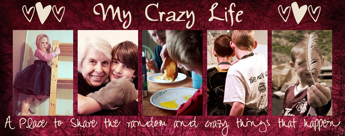 My Crazy Life