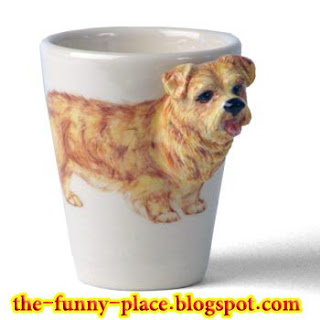 funny mug