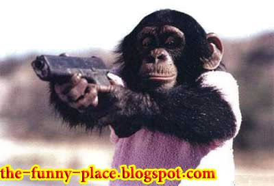 Gun Monkey