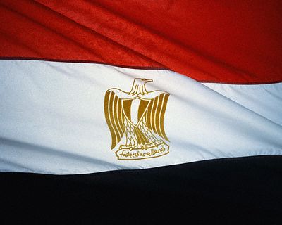"الإخوان المسلمون" يؤيدون التعديلات الدستورية في مصر وباقي الحركات السياسية يعترض علم%2Bمصر