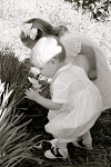 Our Little Monkeys