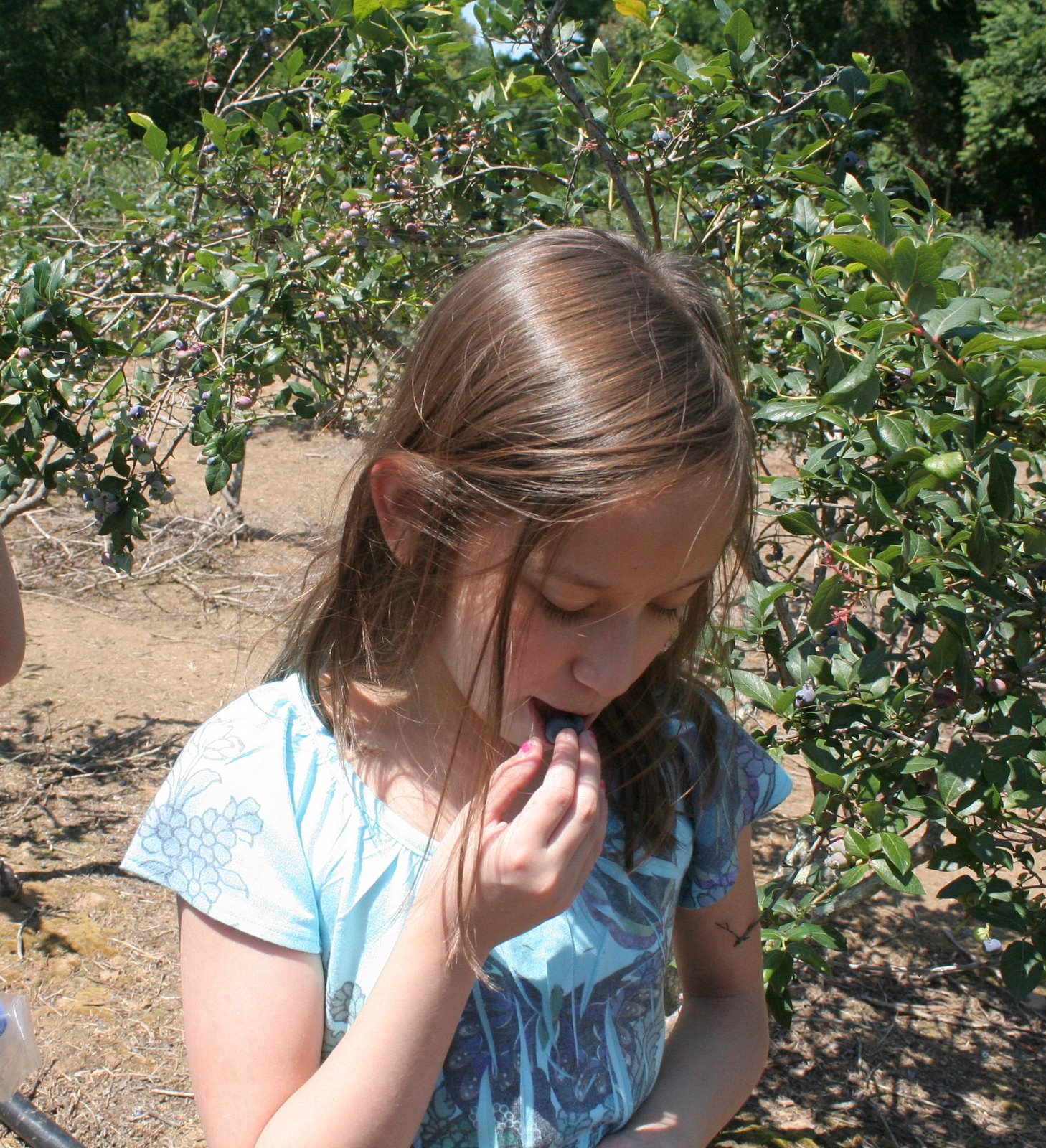 [IMG_7254fieldtest.jpg]