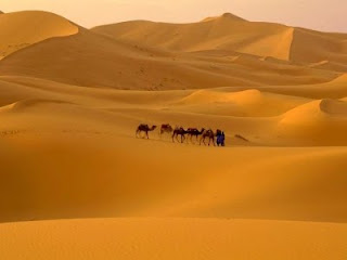 Sahara