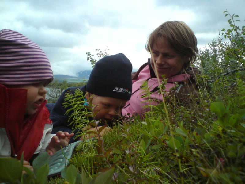 [image-upload-29-749263.jpg]