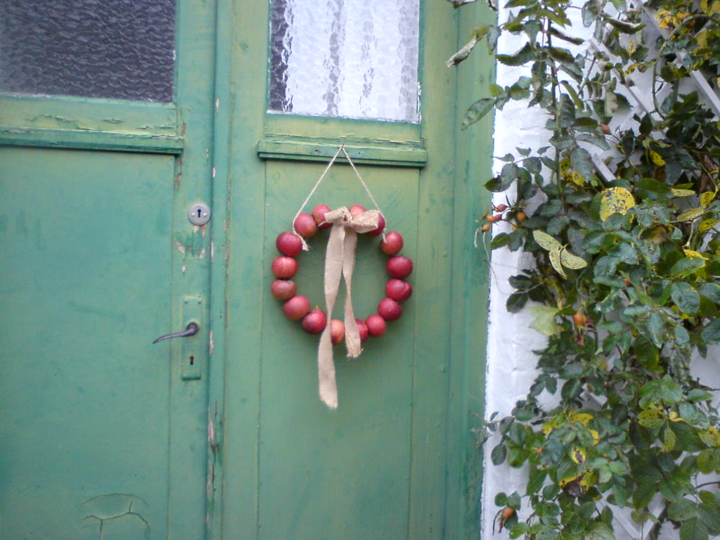 [image-upload-40-713994.jpg]