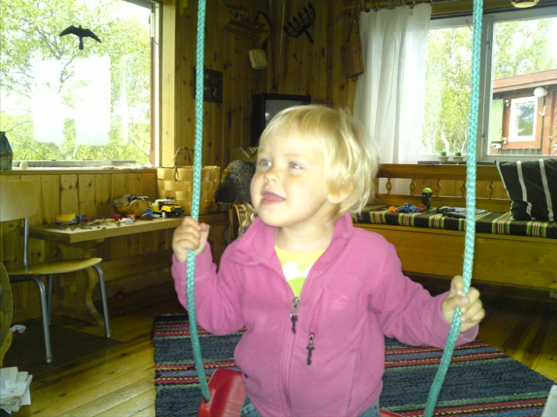 [image-upload-191-712260.jpg]