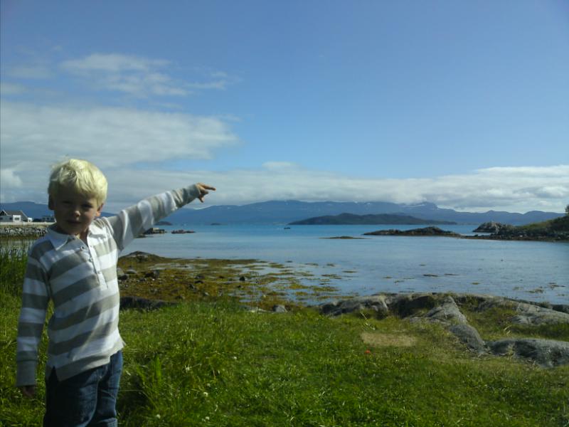 [image-upload-9-736856.jpg]