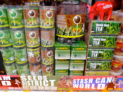 If you ever need anything related to marijuana, you'll find it in Amsterdam