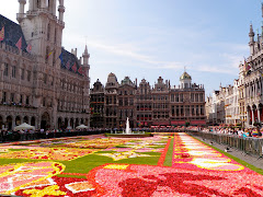 View of the Flower Carpet from the ground floor