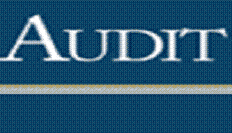 AUDIT