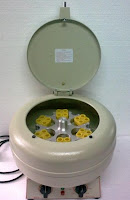cen 001