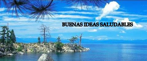 BUENAS IDEAS SALUDABLES...