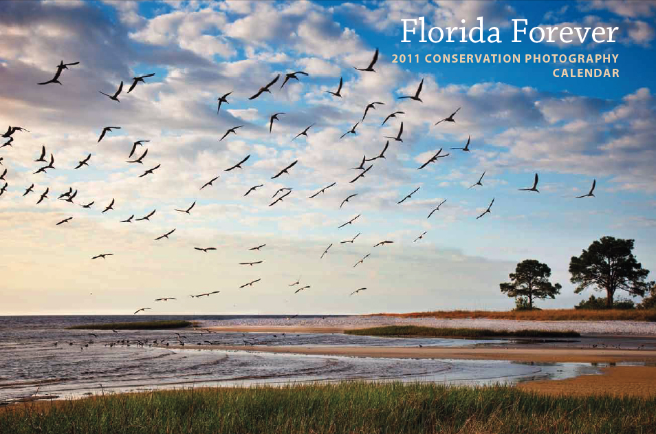 Florida Forever 2011 Conservation Photography Calendar with cover by David 