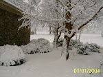 Snow in Central GA!  Feb2009